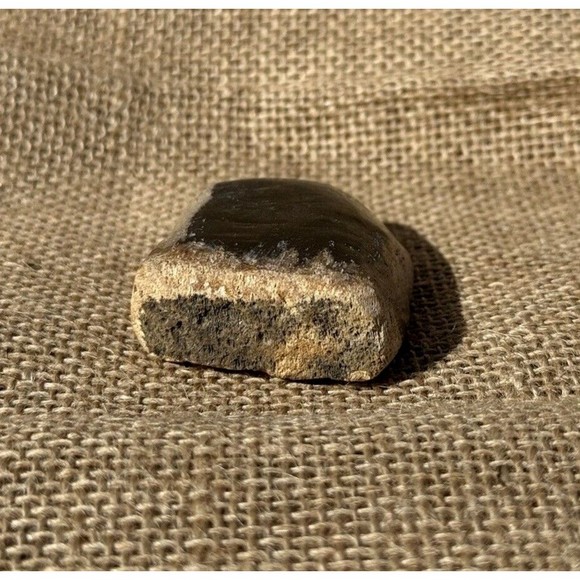 Petrified Wood From Indonesia 2.5" - Picture 12 of 12